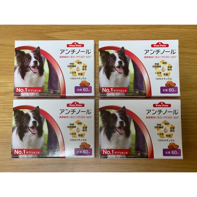 犬用アンチノール 60粒 4箱 - 犬
