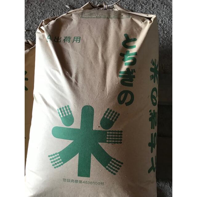 令和元年産 栃木県産コシヒカリ玄米30キロ