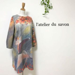 アトリエドゥサボン(l'atelier du savon)の☆アトリエドゥサボン ネズミの王様 プリント Aライン 起毛 ワンピース.(ひざ丈ワンピース)