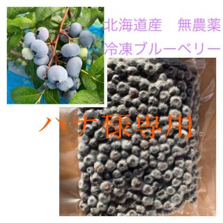 北海道産　無農薬　冷凍ブルーベリー　2キロ(フルーツ)