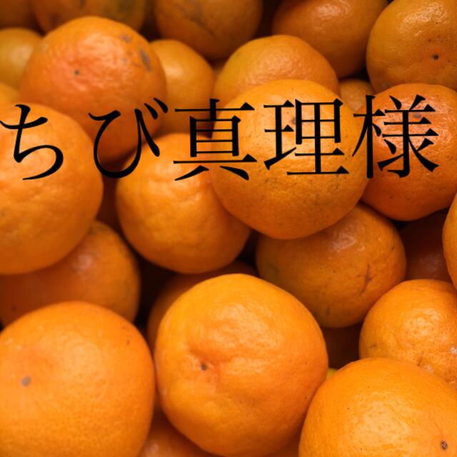 ちび真理様専用　和歌山県産ゆら早生みかん青秀2S5kg、S10kg 食品/飲料/酒の食品(フルーツ)の商品写真