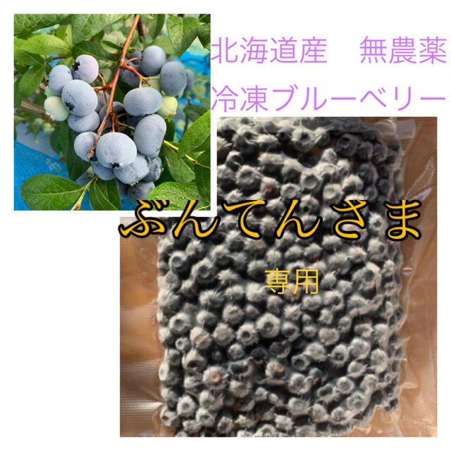 北海道産 無農薬 冷凍ブルーベリー 3キロ - フルーツ