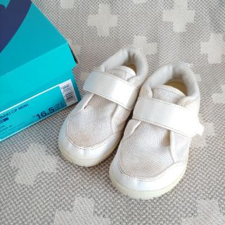 アシックス(asics)のASICS スクスク mini 上履き　16.5cm(スクールシューズ/上履き)