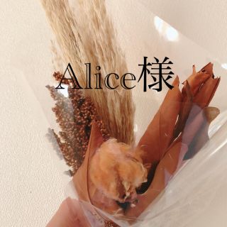 Alice様(外出用品)