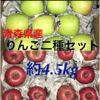 産地直送　りんご2種セット　青森県産　りんご　訳あり(フルーツ)