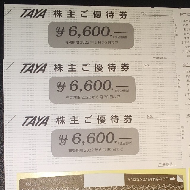 TAYA 株主優待券 19800円分 優待券/割引券 優待券/割引券