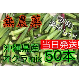 【当日発送】　無農薬 オクラMIX 50本(野菜)
