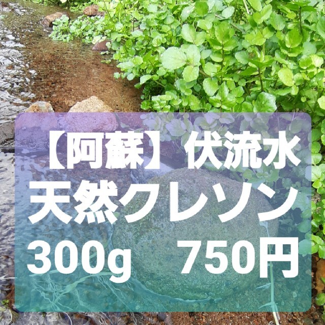 【無農薬】新鮮クレソン300g 食品/飲料/酒の食品(野菜)の商品写真