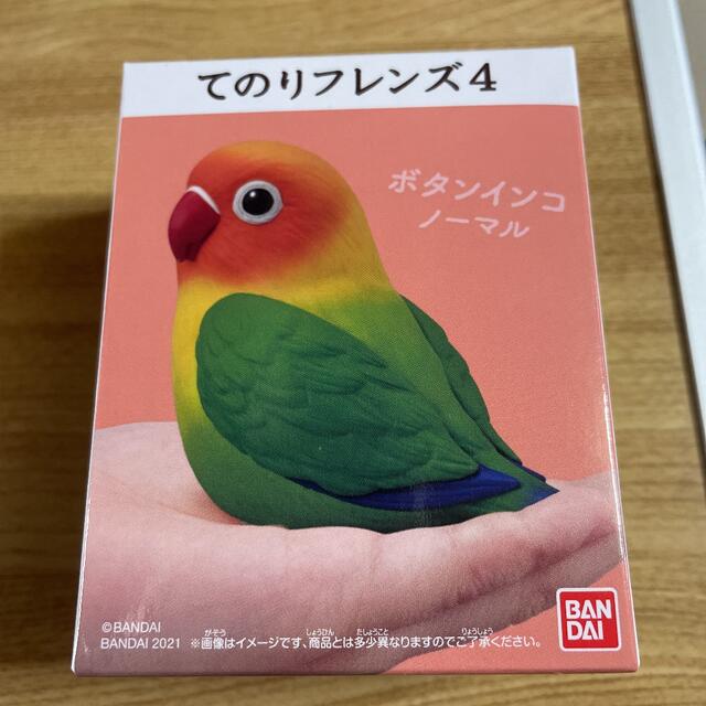 てのりフレンズ4 ボタンインコ2種セット エンタメ/ホビーのおもちゃ/ぬいぐるみ(その他)の商品写真