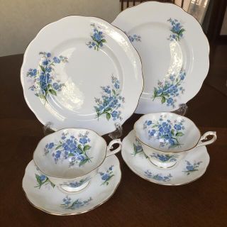 ロイヤルアルバート(ROYAL ALBERT)の【英国ビンテージ】ロイヤルアルバート★勿忘草★トリオ　ペア(食器)