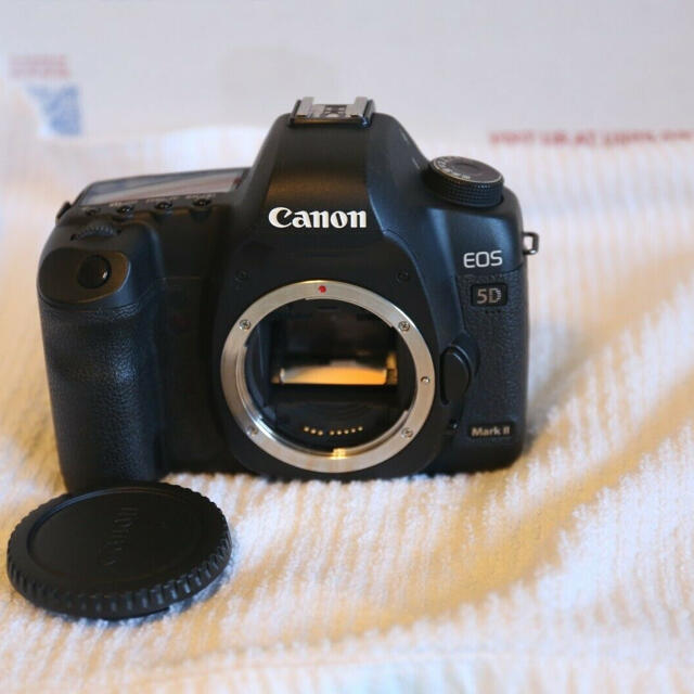 【予約販売品】 Canon5DMarkIIカウント30万回ジャンク品 デジタル一眼