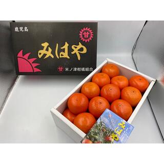 鹿児島県産　みはやみかん　S～2L　約3.5kg(フルーツ)