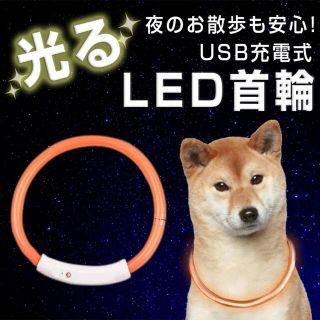 犬 首輪 光る 猫 USB充電式 LED 小型犬 中型犬 大型犬 ペット(犬)