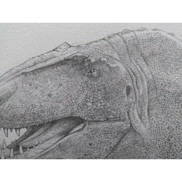 即日発送 本気で描きました 恐竜 鉛筆イラスト アクロカントサウルス の通販 By よしだの画廊 ラクマ