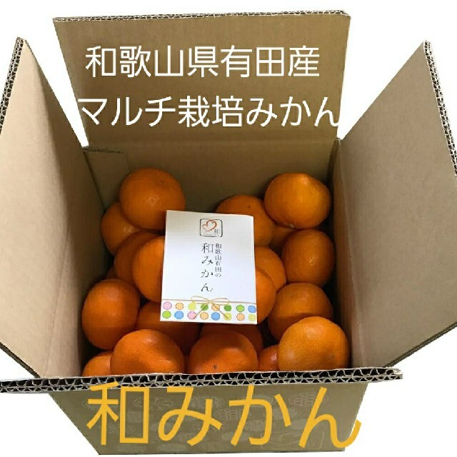 和歌山県有田産　マルチ栽培　和みかん5kg 食品/飲料/酒の食品(フルーツ)の商品写真
