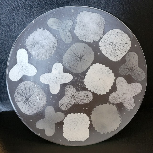 最新品格安 yagi asako 八木麻子 ブーケ bouquetの通販 by ajico's