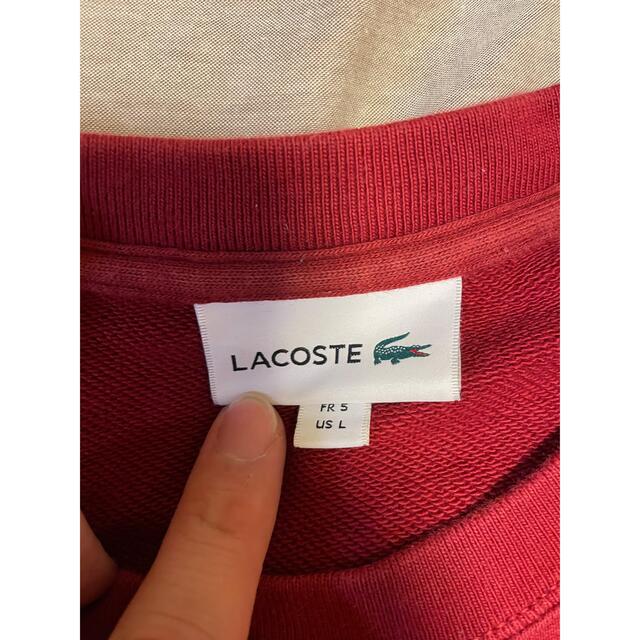 LACOSTE(ラコステ)のラコステ　トレーナー メンズのトップス(その他)の商品写真