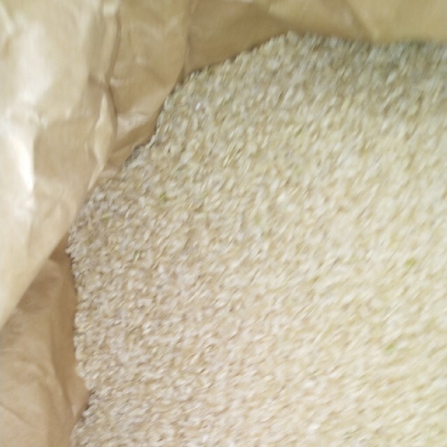 令和3年産栃木県特一等米コシヒカリ玄米30キロ無農薬にて作り上げた ... 令和3年産栃木県特一等米コシヒカリ玄米10キロ無農薬にて作り上げた自慢のお米です