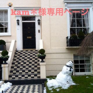 kam＊様専用ページ(ネックレス)