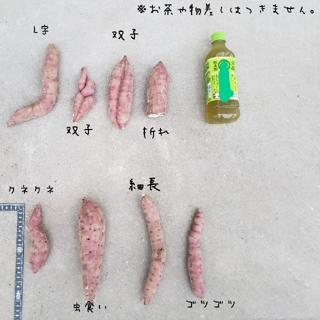 訳あり　紅はるか　10キロ　茨城県産　令和３年　さつま芋　サツマイモ　お芋 食品/飲料/酒の食品(野菜)の商品写真