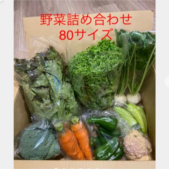野菜詰め合わせ　80サイズ  食品/飲料/酒の食品(野菜)の商品写真