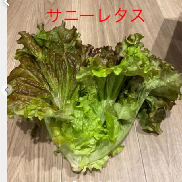 野菜詰め合わせ　80サイズ  食品/飲料/酒の食品(野菜)の商品写真