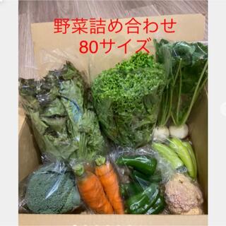 野菜詰め合わせ　80サイズ (野菜)