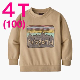 パタゴニア(patagonia)の100サイズ【新品】Patagonia ベビー ライトウェイト スウェット(Tシャツ/カットソー)