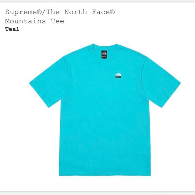 supreme north face mountain tee teal S