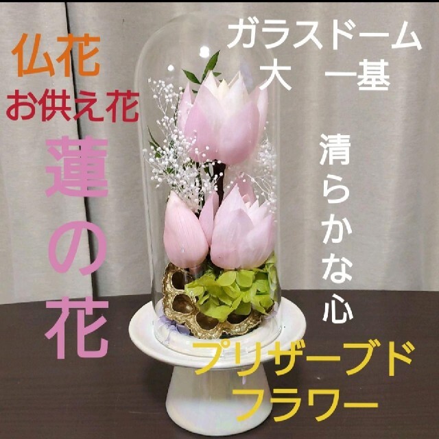 お仏壇用の仏花 大 一基 蓮の花 プリザーブドフラワー 花瓶ドーム付き プリザーブドフラワー - maquillajeenoferta.com お仏壇用の仏花 大 一基 蓮の花 プリザーブドフラワー 花瓶ドーム付き プリザーブドフラワー - maquillajeenoferta.com