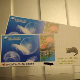 新江ノ島水族館　招待券　2枚(水族館)