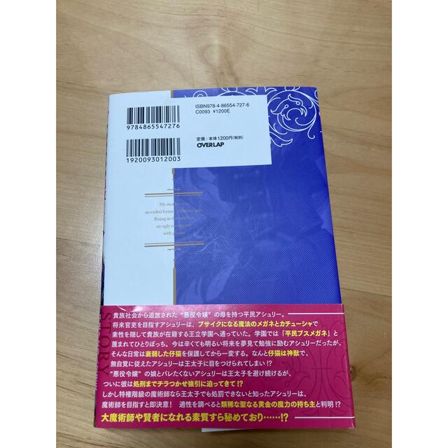 私のお母様は追放された元悪役令嬢でした 平民ブスメガネの下剋上 エンタメ/ホビーの本(文学/小説)の商品写真