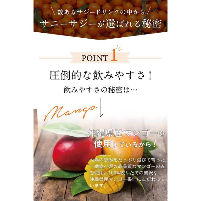 ルルル様専用　orkis SUNNY SAZZY サジー サニーサジー 鉄分  食品/飲料/酒の健康食品(ビタミン)の商品写真