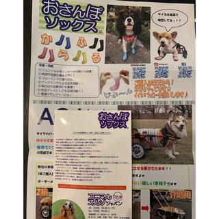 おさんぽソックス　3S(犬)