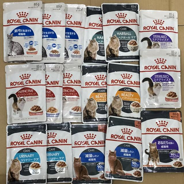 ROYAL CANIN(ロイヤルカナン)のロイヤルカナン 成猫用ウェットフード12種17点セット その他のペット用品(ペットフード)の商品写真