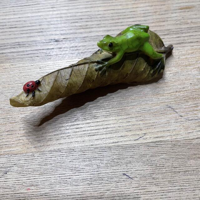 葉っぱに乗ったカエルとてんとう虫のオブジェの通販 by ピットブル商店｜ラクマ