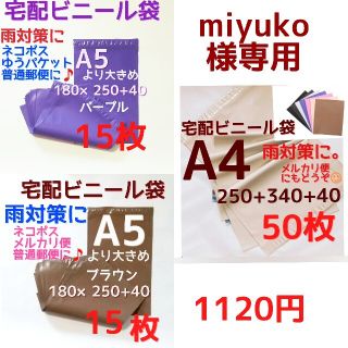 ➕リピ特典   miyuko様専用(その他)