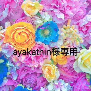 ayakathin様専用ページ(ぬいぐるみ)