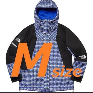 シュプリーム(Supreme)のSupreme North Face Mountain Light Jacket(マウンテンパーカー)