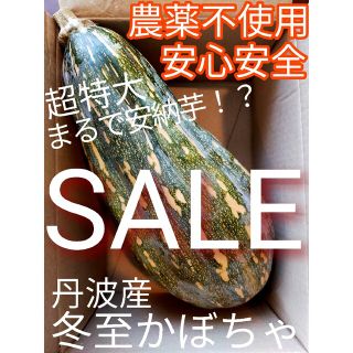 ✨安心安全✨農薬不使用✨　まるで安納芋　完熟　かぼちゃ　めちゃ甘　詰め合わせ(野菜)