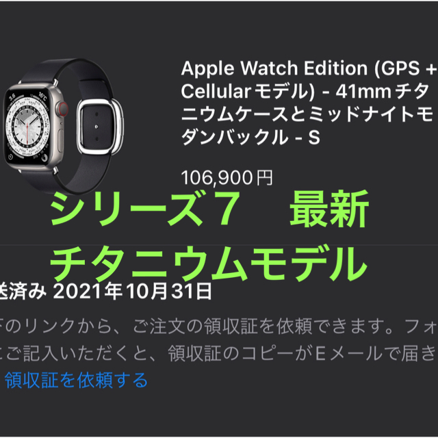 Apple Watch Series 7 41mm チタニウムモダンバックルなし