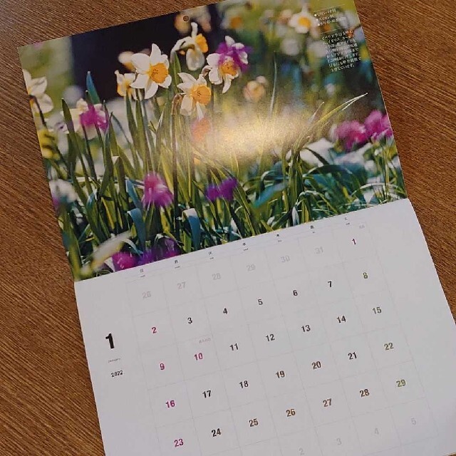 趣味の園芸 花カレンダー 22年の通販 By 桃助商店 ラクマ