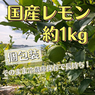 国産レモン　青レモン　約1kg  8〜10個　送料込(フルーツ)