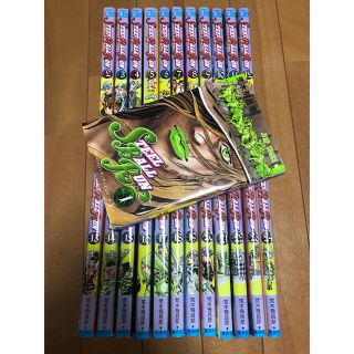 ジョジョの奇妙な冒険　7部　スティールボールラン全巻(全巻セット)