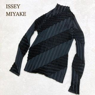 イッセイミヤケ(ISSEY MIYAKE)の美品 ISSAY MIYAKE イッセイミヤケ ハイネック ブラウス プリーツ(カットソー(長袖/七分))