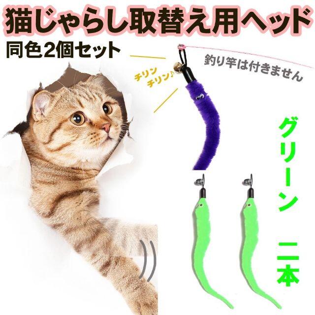 猫じゃらし　取替え用ヘッド　取り換え羽　 その他のペット用品(猫)の商品写真