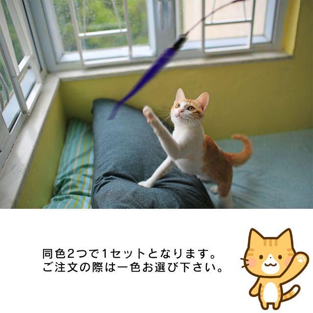 猫じゃらし　取替え用ヘッド　取り換え羽　 その他のペット用品(猫)の商品写真