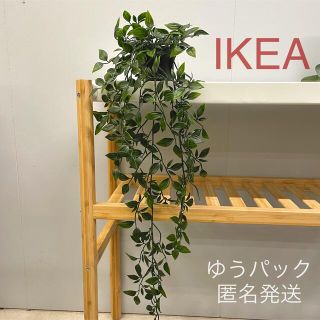 イケア(IKEA)の【新品】IKEA イケア フェイクグリーン 人工観葉植物 （フェイカ）(その他)