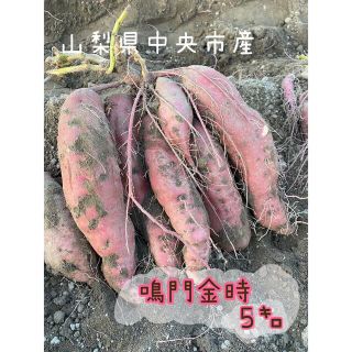 鳴門金時5kg(野菜)