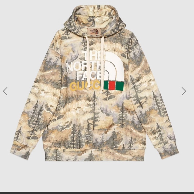 Gucci(グッチ)のGUCCI north face パーカー　グッチ　ノースフェイス　値下げ可 レディースのトップス(パーカー)の商品写真